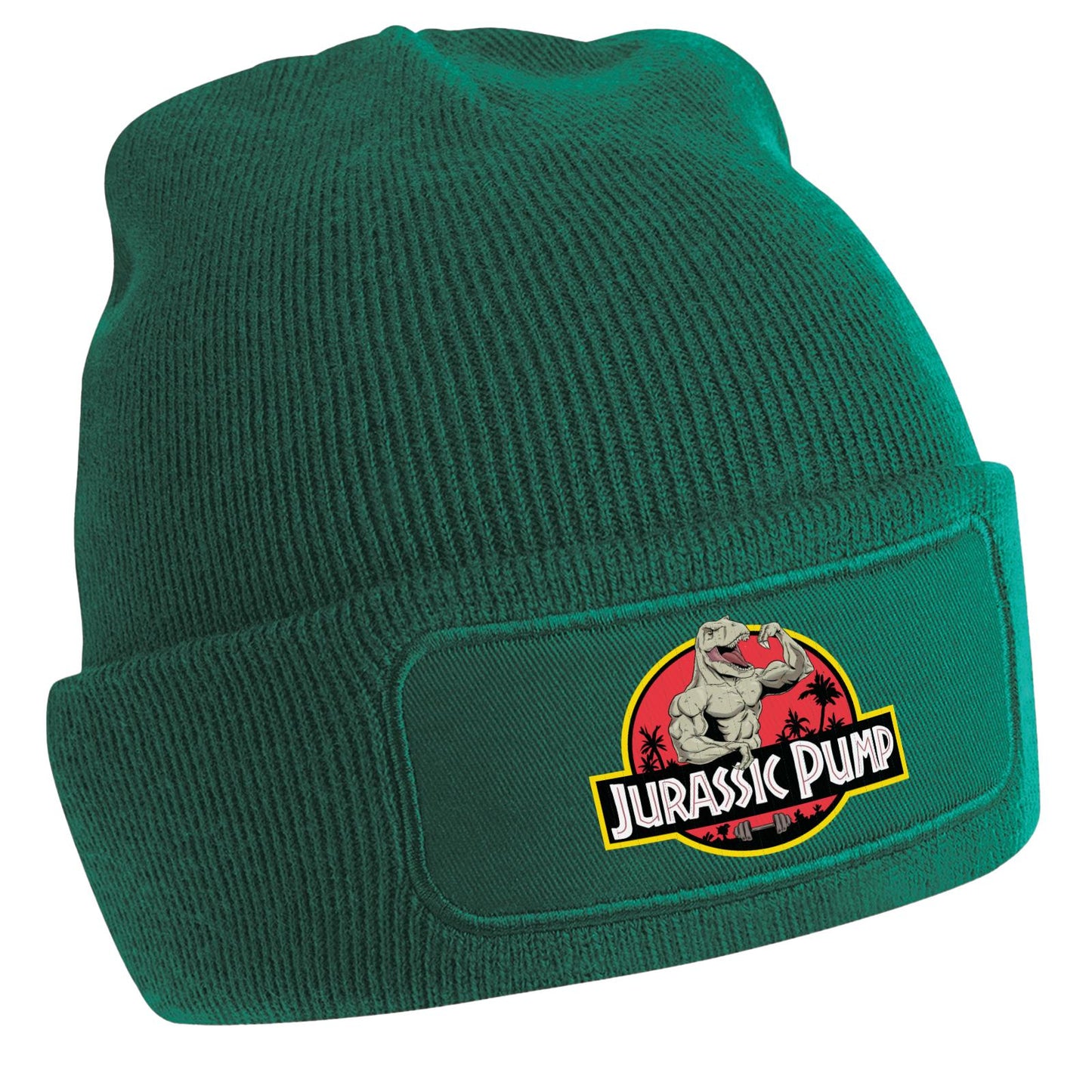 Patch Beanie  - Jurassic Pump