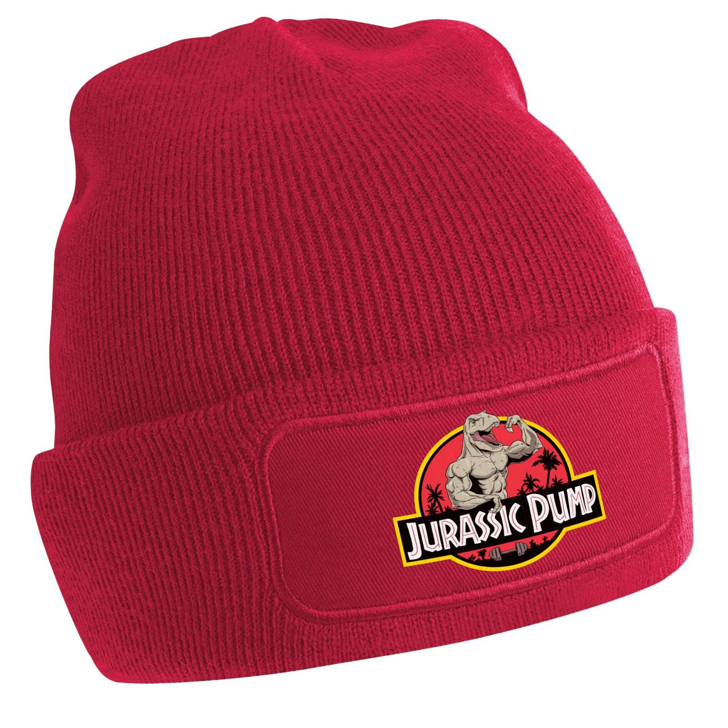 Patch Beanie  - Jurassic Pump