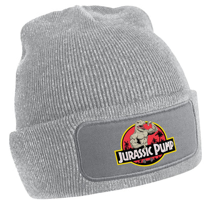 Patch Beanie  - Jurassic Pump